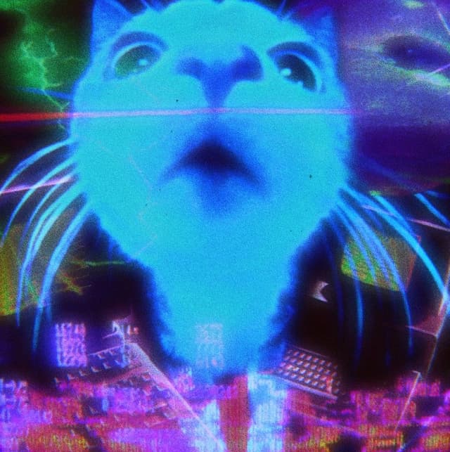 Cat Blue (Me)